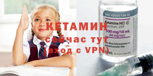 шишки Елизово