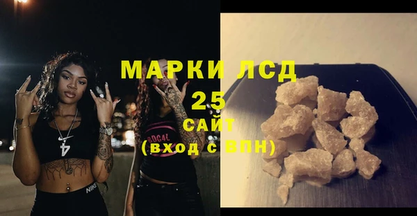СК Дмитров