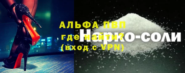шишки Елизово