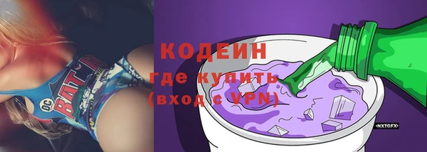 молекула духа Елабуга