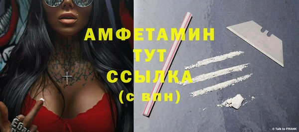 СК Дмитров