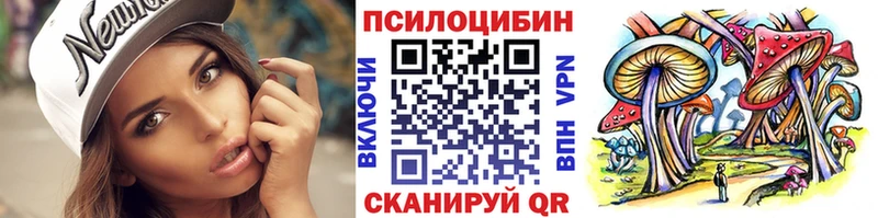 Псилоцибиновые грибы Psilocybe Ясногорск